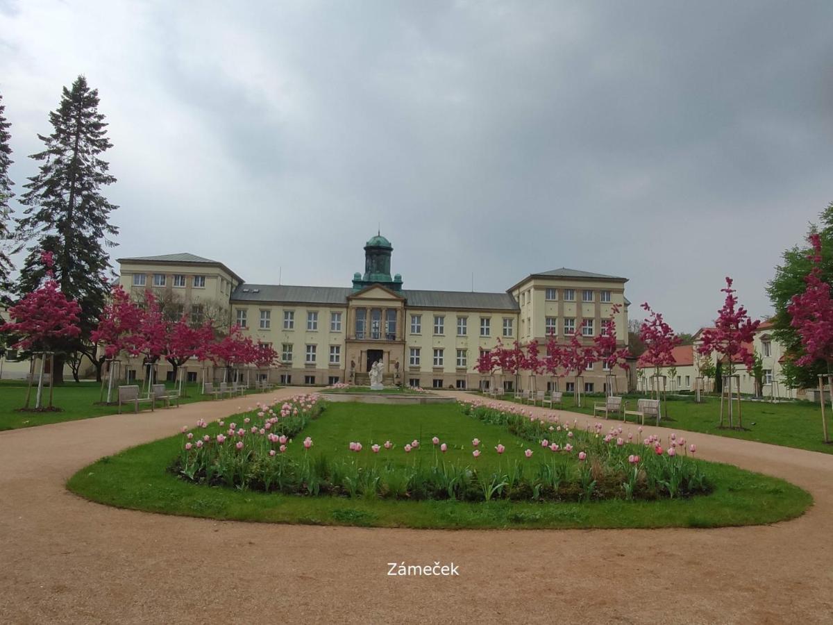 Homestay Podebrady Exterior photo