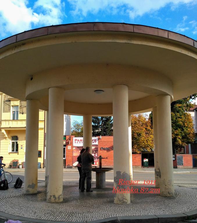 Homestay Podebrady Exterior photo